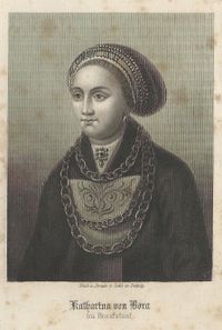 1873 Katharina von Bora im Brautstaat - Stich und Druck v Zehl in Leiprig - aus den Buch - Moritz Meurer KATHARINA LUTHER geb. von Bora