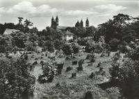 Judenfriedhof - Der &quot;Heilige Sand&quot; - Worms